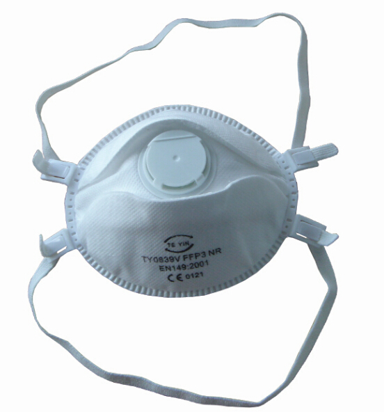 Dust mask