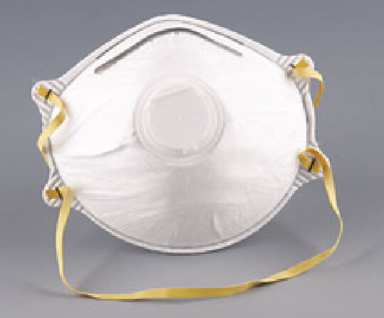 Dust mask